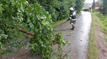 T07-Unwetter - Baum über Straße