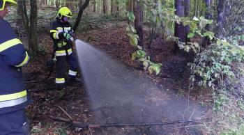 Erster Waldbrandeinsatz 2026 in der Markgemeinde Kirchbach-Zerlach