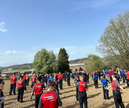 BeeWild-Aktion Feuerwehrjugend 2025 des BFVFB