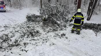 Schnee, Schnee und wieder Schnee.....